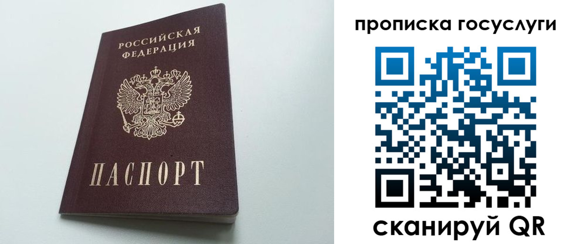 временная регистрация для всех в Димитровграде